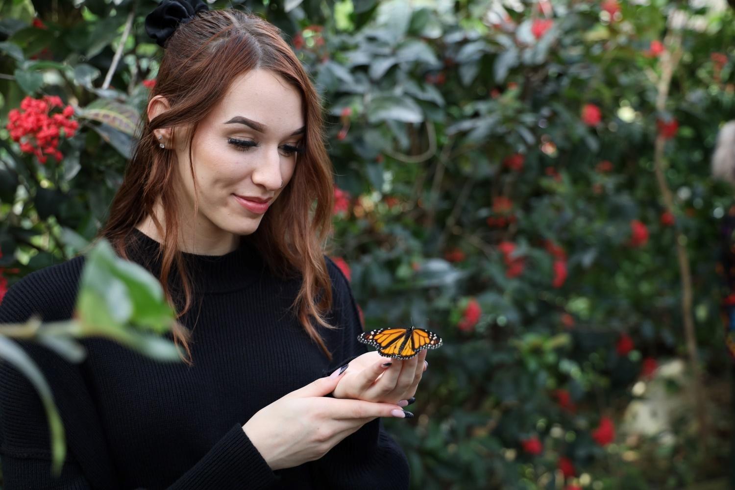 Butterfly Pavilion celebrates release of monarch butterflies